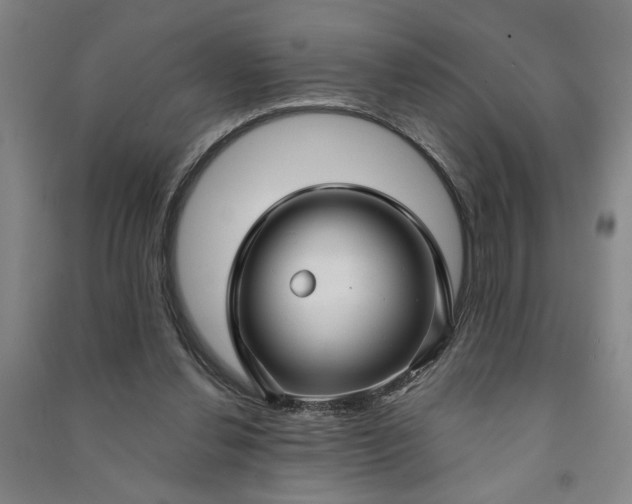 X0000090950252200708161801