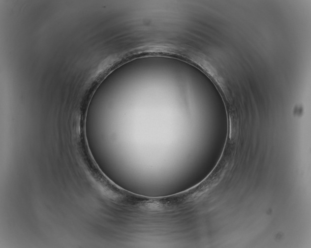 X0000090950253200708161801