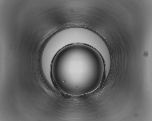 X0000090950254200708161802