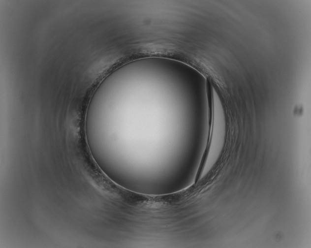 X0000090950255200708161802