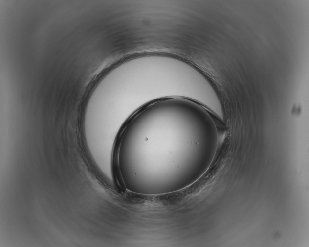 X0000090950256200708161802