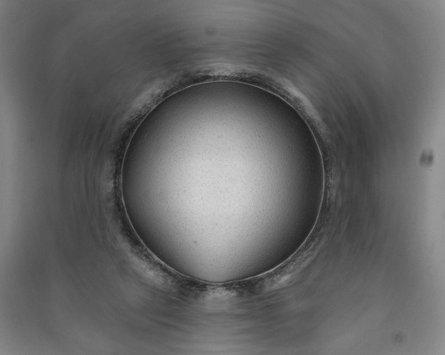X0000090950257200708161802