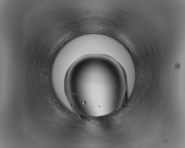 X0000090950258200708161802