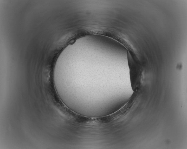 X0000090950259200708161802