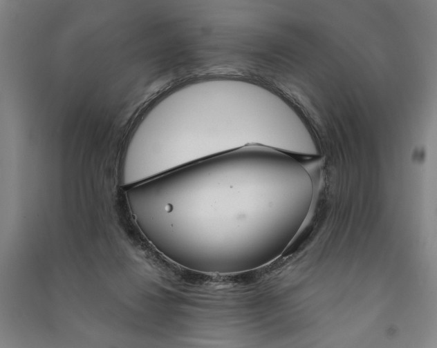 X0000090950260200708161802