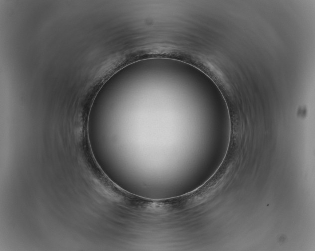 X0000090950261200708161802