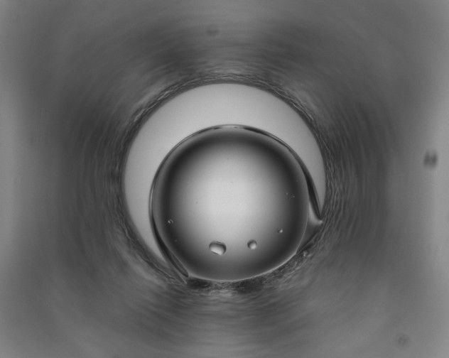 X0000090950262200708161802