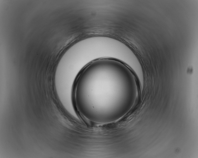 X0000090950264200708161802
