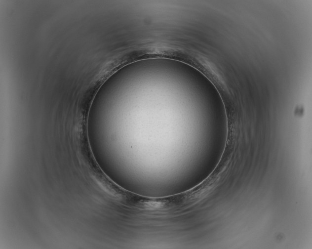 X0000090950265200708161802