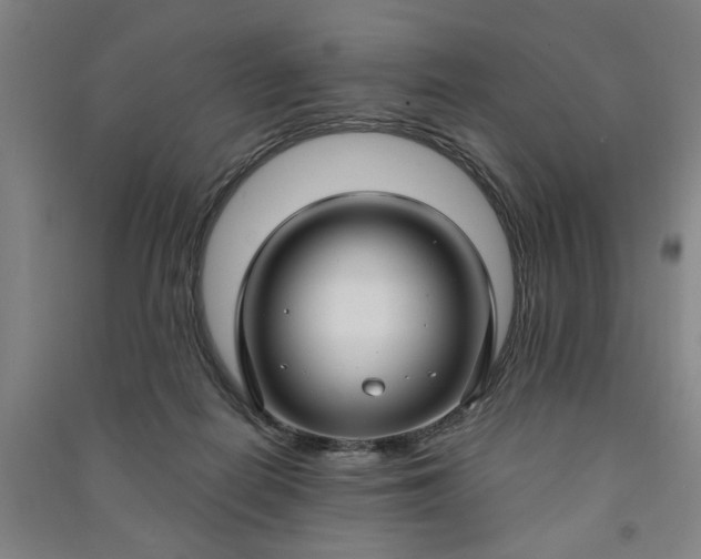 X0000090950266200708161802