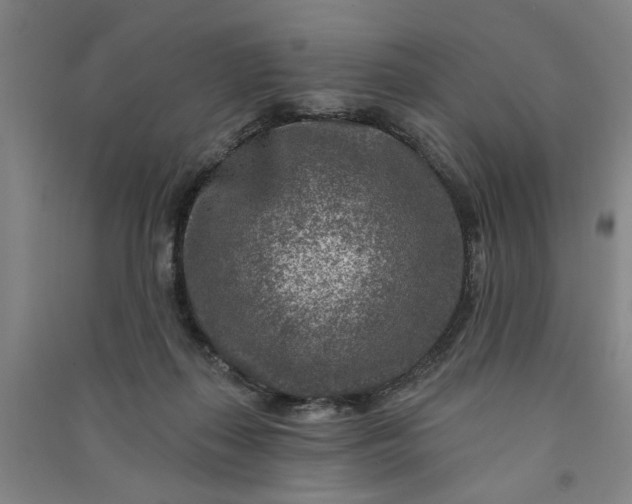 X0000090950267200708161802
