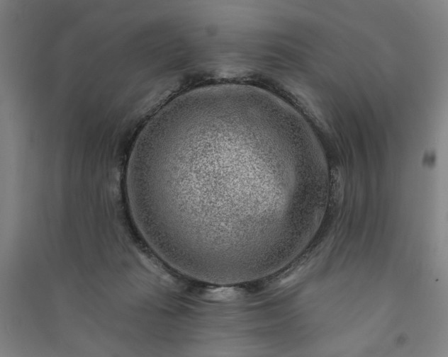 X0000090950269200708161802