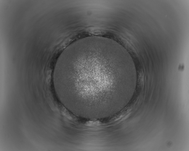X0000090950271200708161802