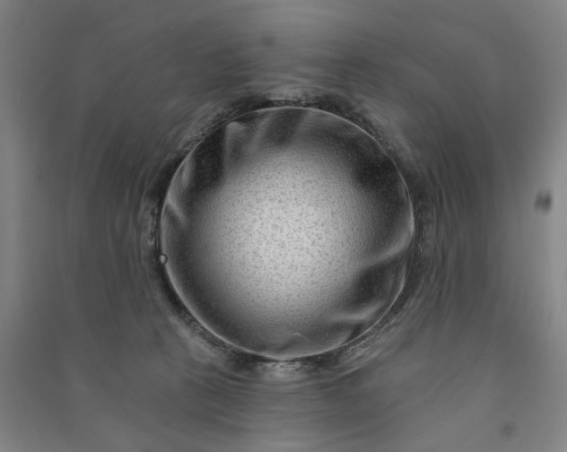 X0000090950273200708161802