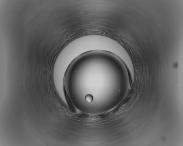 X0000090950274200708161802