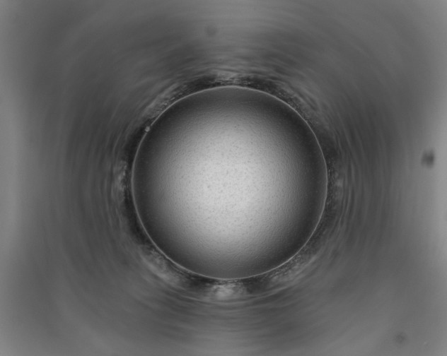 X0000090950275200708161802