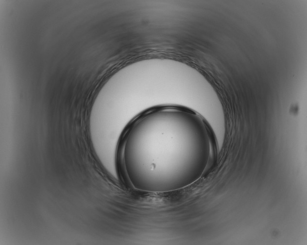 X0000090950276200708161802
