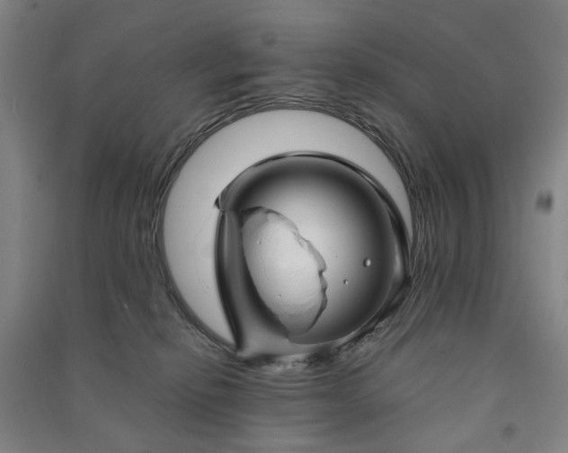 X0000090950278200708161802