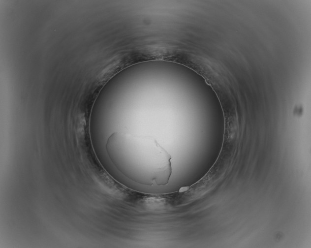 X0000090950279200708161802