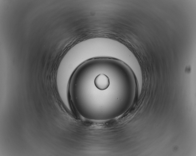 X0000090950280200708161802
