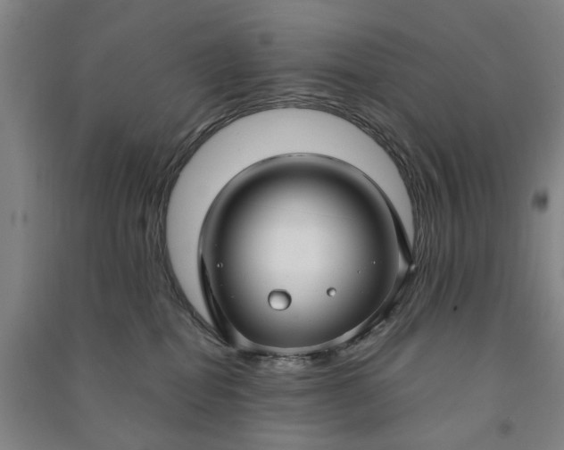 X0000090950282200708161802