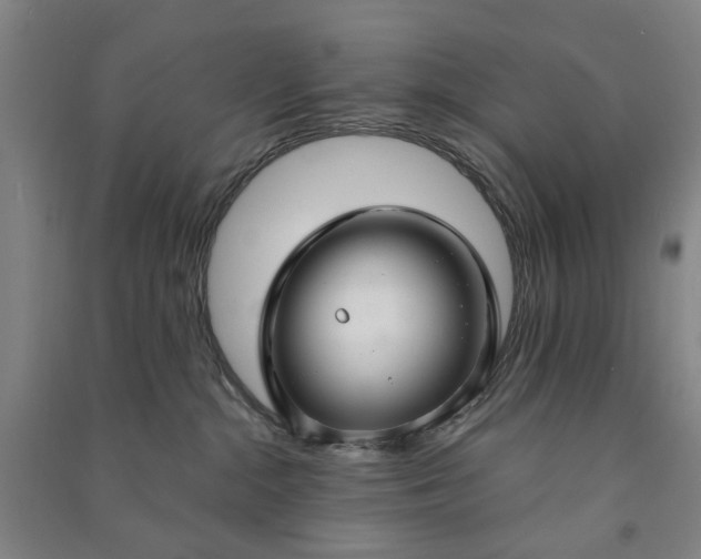 X0000090950284200708161802