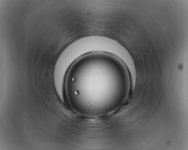 X0000090950286200708161802