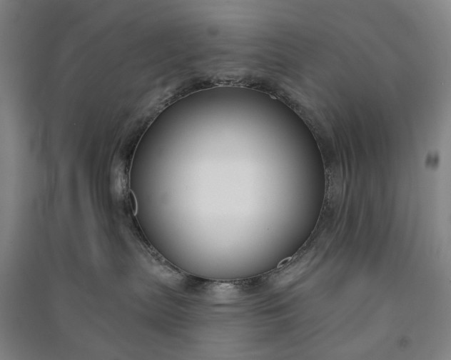 X0000090950287200708161802