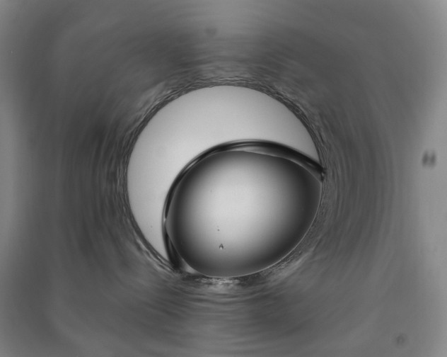 X0000090950288200708161802