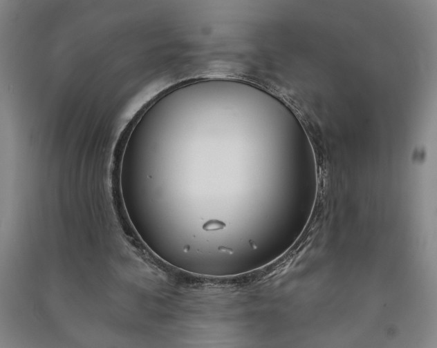 X0000090950292200708161801