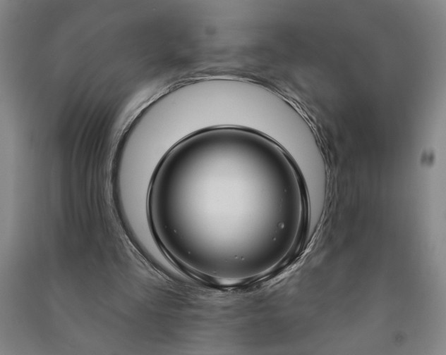 X0000090950293200708161801