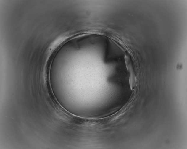 X0000090950294200708161801