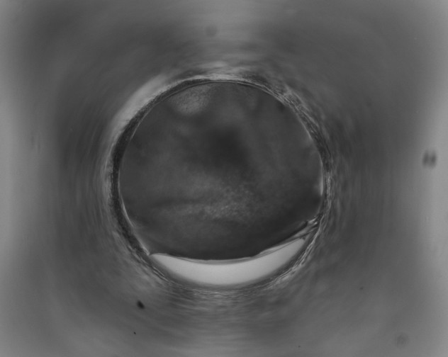 X0000090950295200708161801