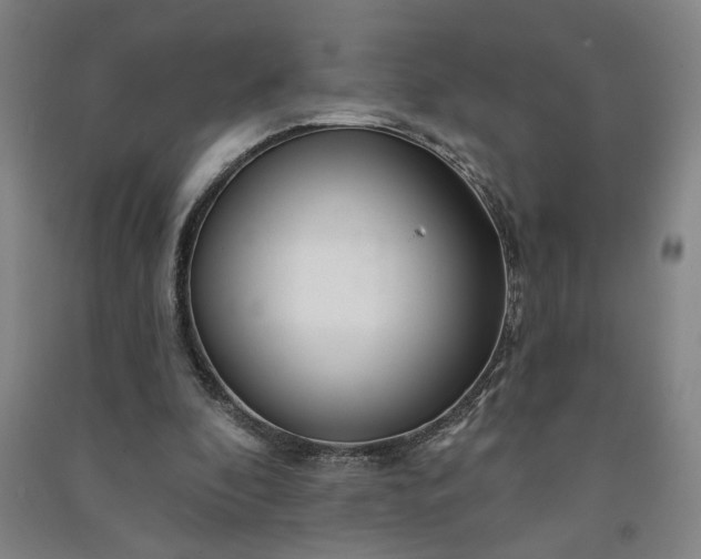 X0000090950296200708161801