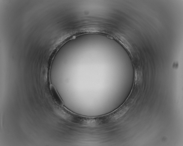 X0000090950301200708161801