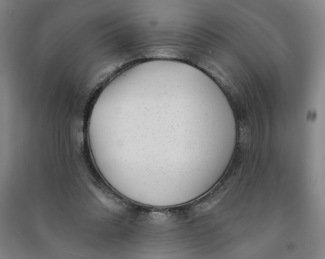 X0000090950302200708161801