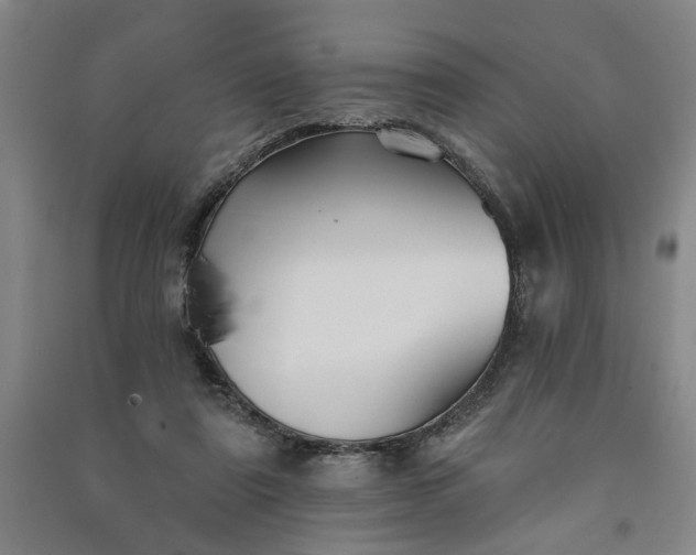 X0000090950307200708161801