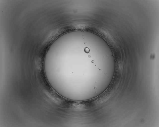 X0000090950311200708161801