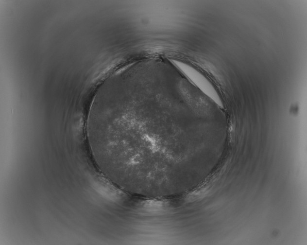 X0000090950314200708161801