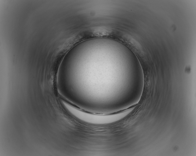 X0000090950315200708161801