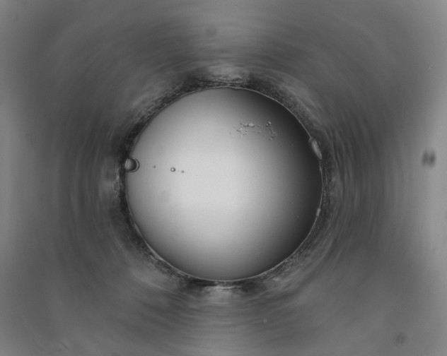 X0000090950320200708161801