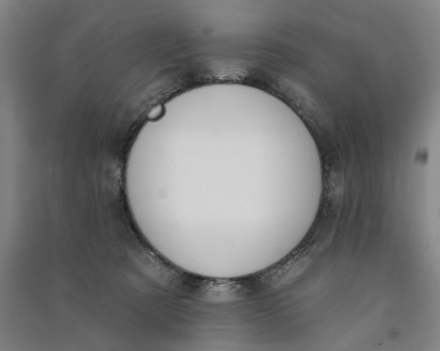 X0000090950321200708161801