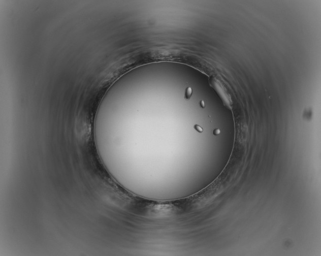 X0000090950324200708161801