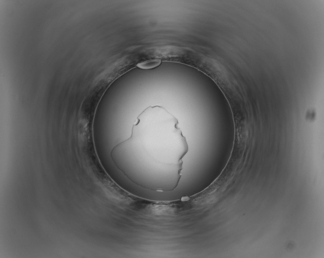 X0000090950327200708161801