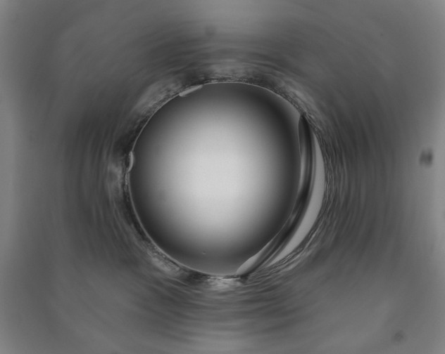 X0000090950333200708161801