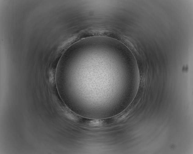 X0000090950335200708161801