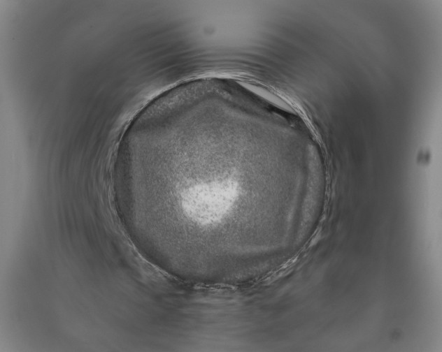 X0000090950337200708161800