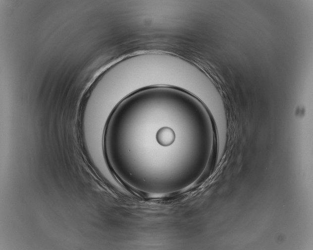 X0000090950338200708161800