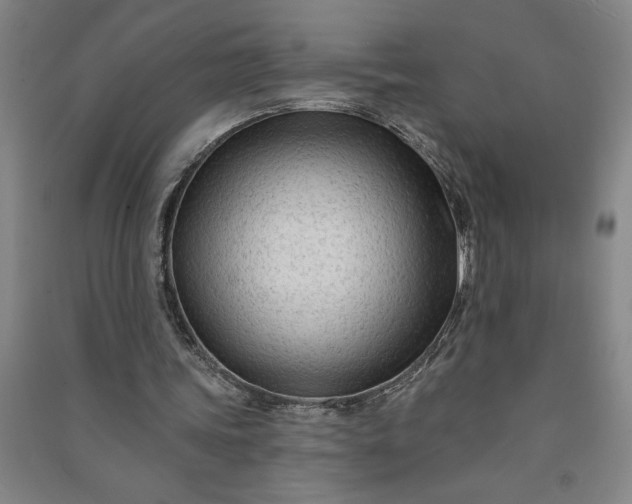 X0000090950339200708161800