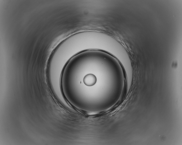 X0000090950340200708161800
